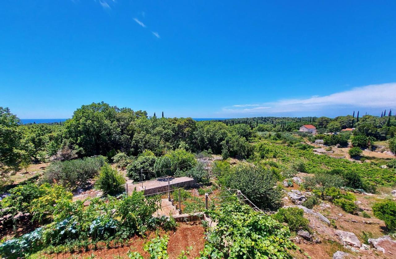 Apartamento Le Petit Čilipi Exterior foto